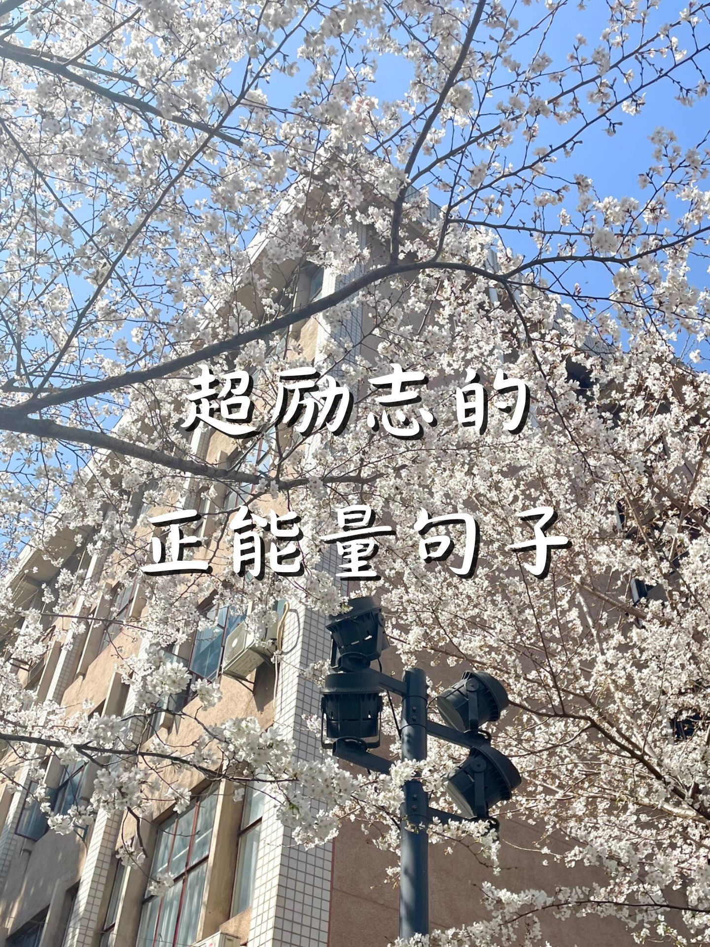 不畏强敌,勇往直前,豪取一场胜利 不畏强敌,勇往直前,豪取一场胜利