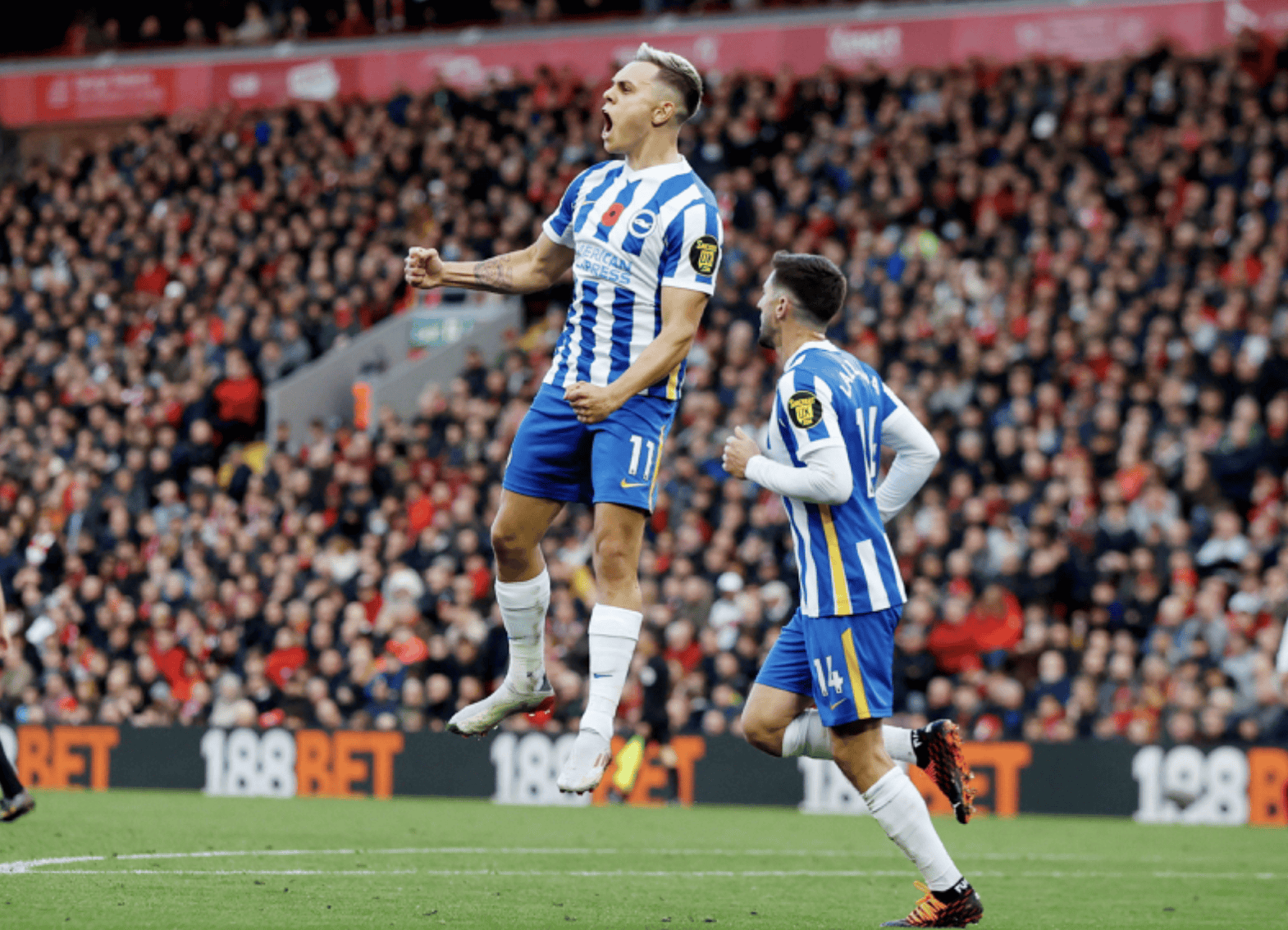 曼联主场击败布莱顿,保持强势 曼联主场击败布莱顿,保持强势