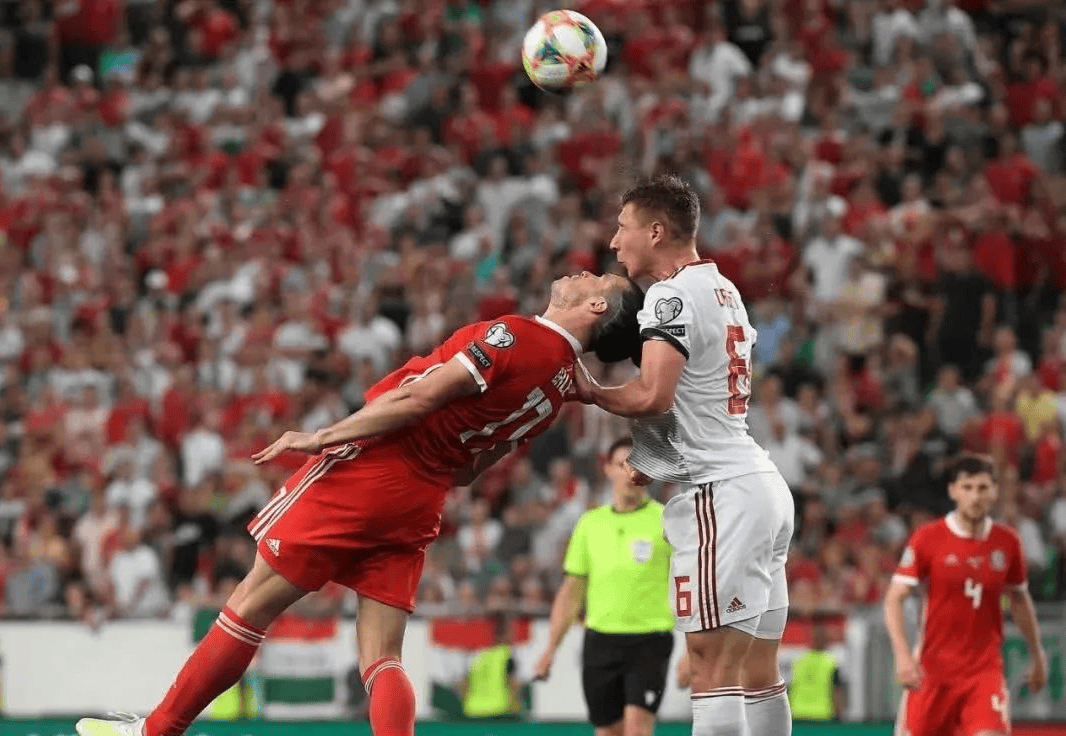 爱尔兰队痛失胜利,无缘晋级 爱尔兰队痛失胜利,无缘晋级