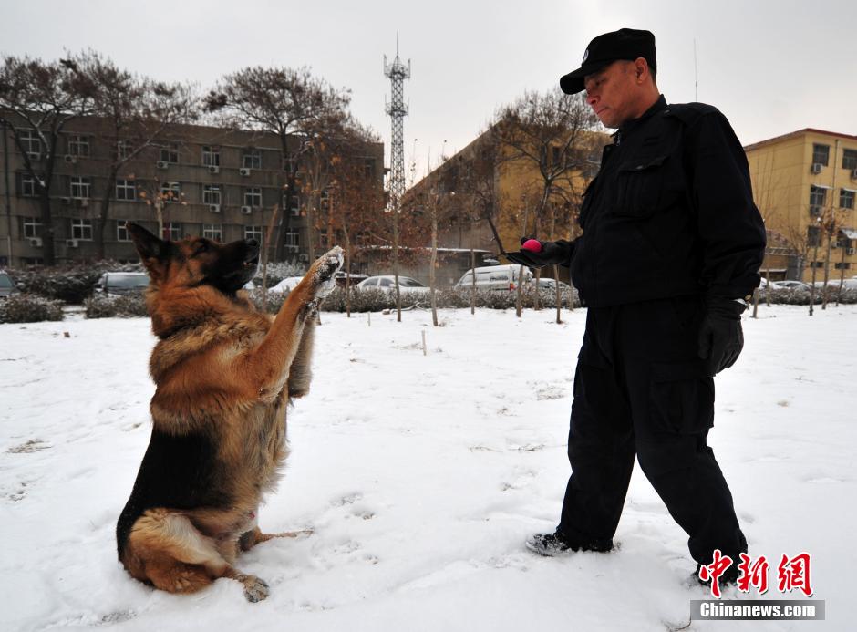 谢菲联业务林的备战,蓄势待发迎来背靠 谢菲联业务林的备战,蓄势待发迎来背靠