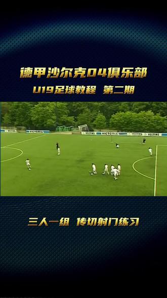 沙尔克04青训营业务丰收,青训模式受瞩目 沙尔克04青训营业务丰收,青训模式受瞩目