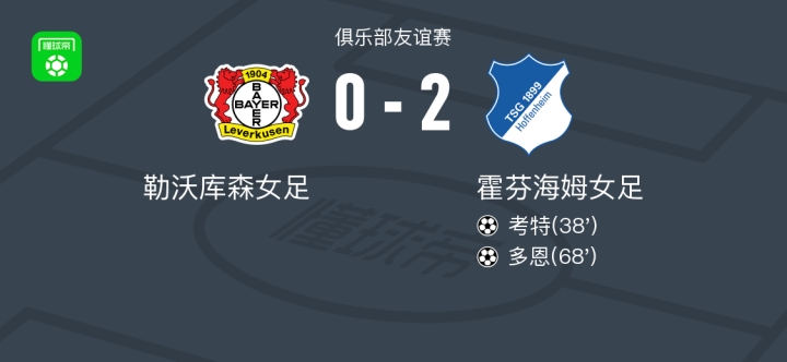 霍芬海姆击败勒沃库森,继续高歌猛进 霍芬海姆击败勒沃库森,继续高歌猛进