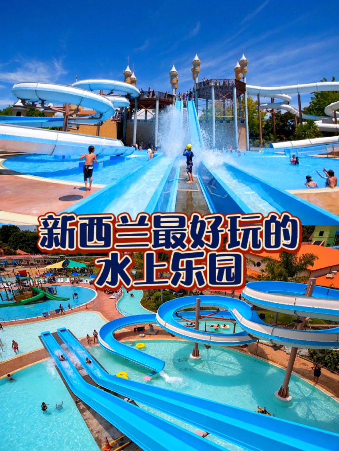 新西兰选手在游泳赛场闪耀,获得金牌头衔 新西兰选手在游泳赛场闪耀,获得金牌头衔