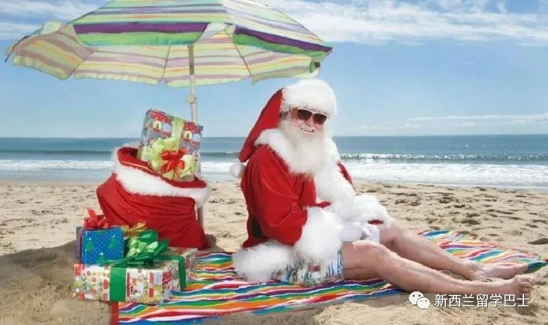 新西兰选手在游泳赛场闪耀,获得金牌头衔 新西兰选手在游泳赛场闪耀,获得金牌头衔